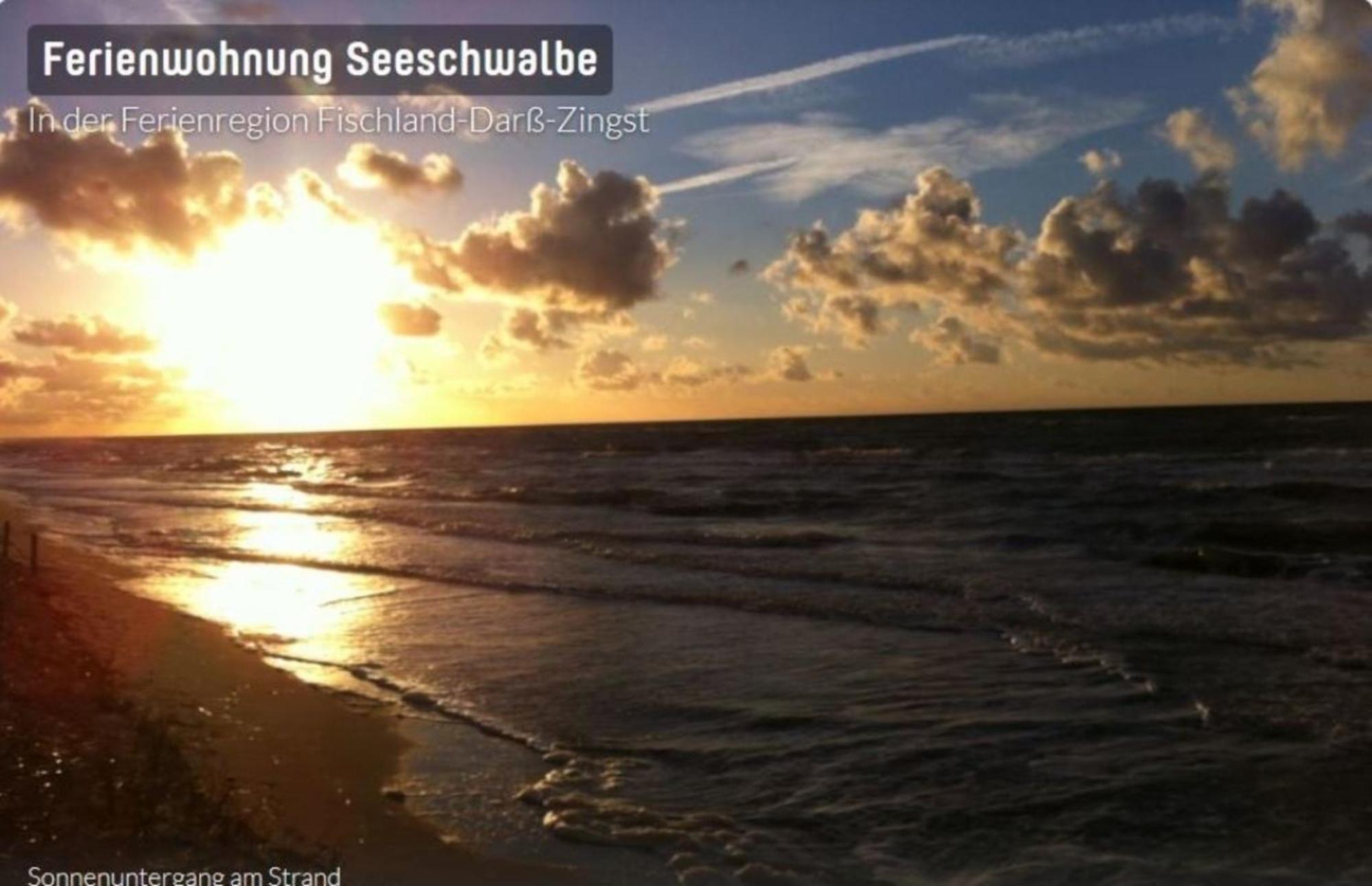 Seeschwalbe App 34 Neuhaus Kültér fotó